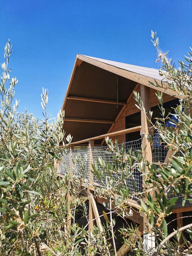 Glamping E Camere Cirelliwines Abruzzo Citta Sant'Angelo Exterior photo