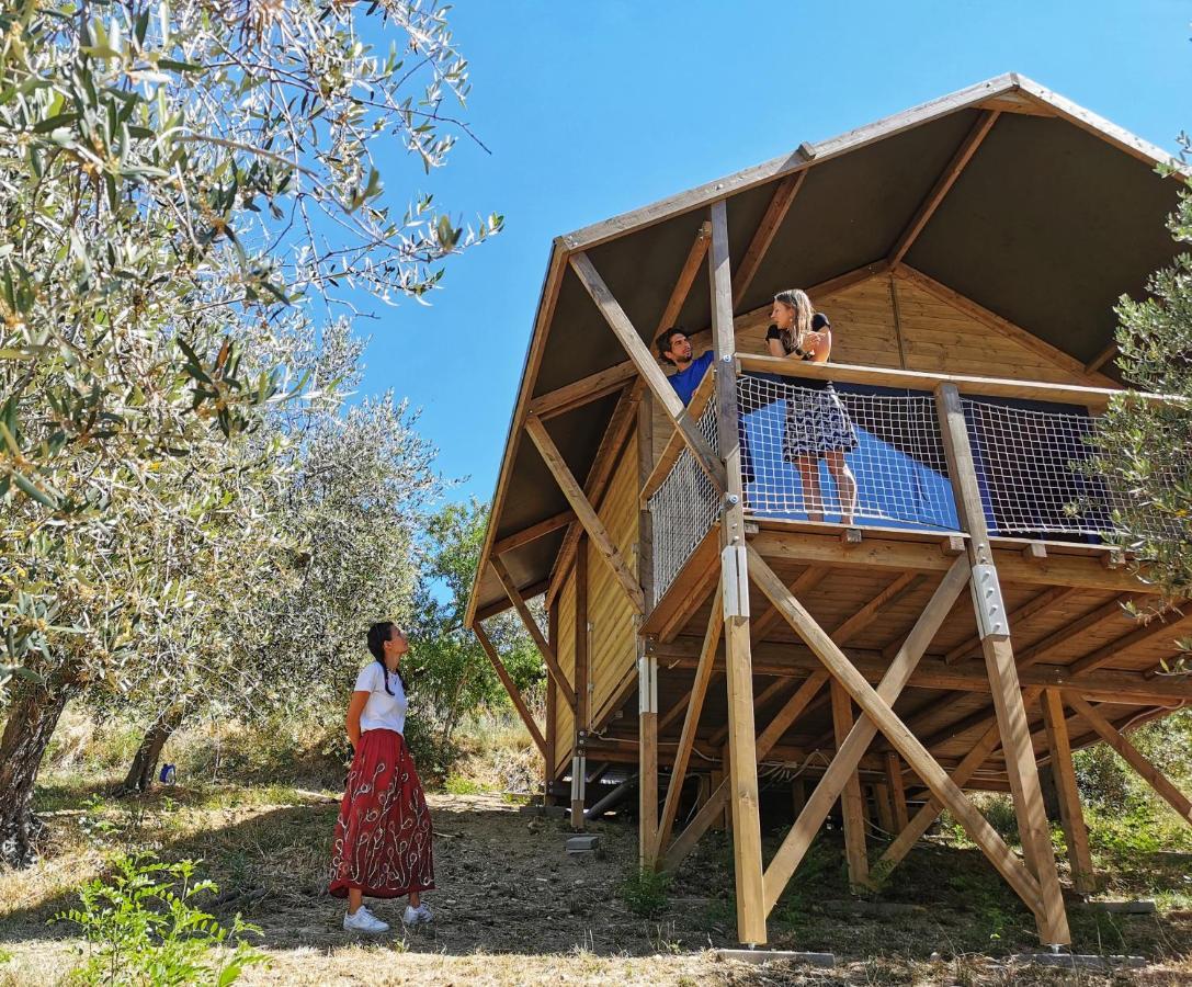 Glamping E Camere Cirelliwines Abruzzo Citta Sant'Angelo Exterior photo