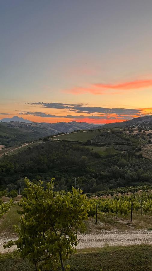 Glamping E Camere Cirelliwines Abruzzo Citta Sant'Angelo Exterior photo