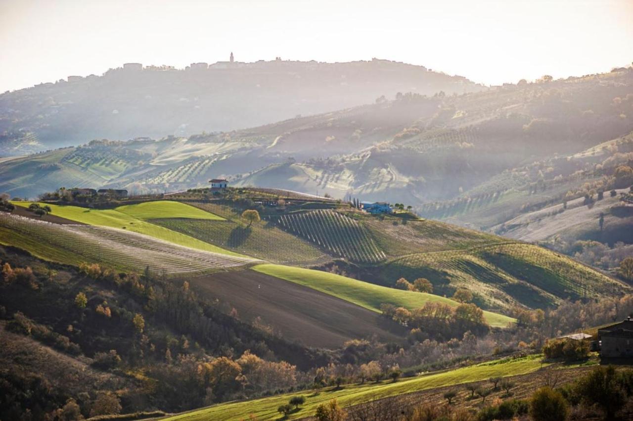 Glamping E Camere Cirelliwines Abruzzo Citta Sant'Angelo Exterior photo