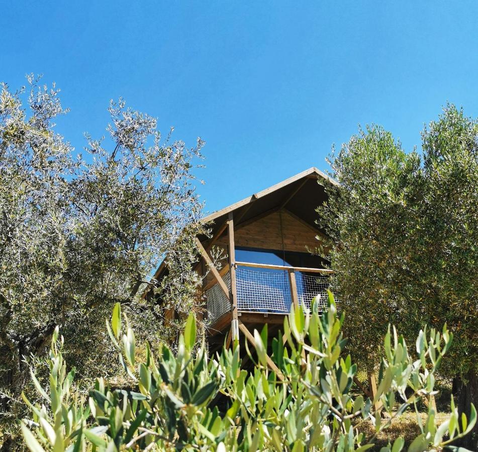 Glamping E Camere Cirelliwines Abruzzo Citta Sant'Angelo Exterior photo